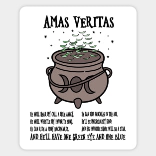 Amas Veritas Magnet